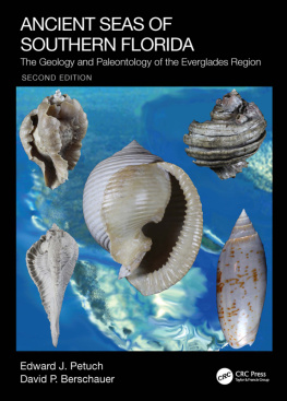 Edward J. Petuch Ancient Seas of Southern Florida: The Geology and Paleontology of the Everglades Region