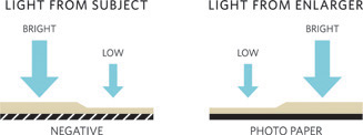 Film and paper densities The photographic printing process reverses the - photo 2