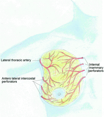 Fig 13 Blood supply The arterial supply to the breast is predominantly by - photo 3
