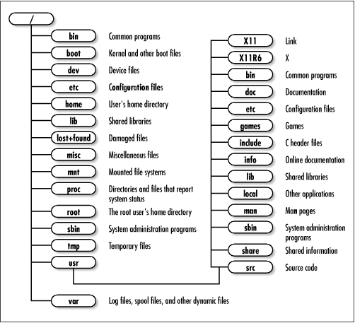 shows the typical structure of the Linux directory tree Only the principal - photo 2