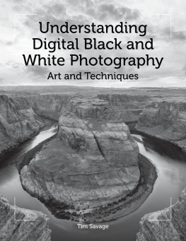 Tim Savage - Understanding Digital Black and White Photography : Art and Techniques.