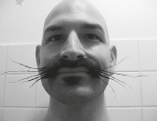 Keith J Haubrichs cat whiskers self-portrait won 1st place in the Freestyle - photo 2