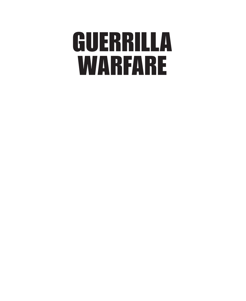 Copyright David Rooney 2004 Originally published as Guerrilla in 2004 by - photo 2