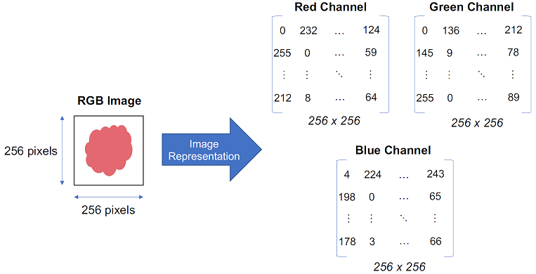 Figure 13 Representation of a Blood Smear Sample Image Now how do we best - photo 4