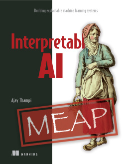 Ajay Thampi - Interperetable AI