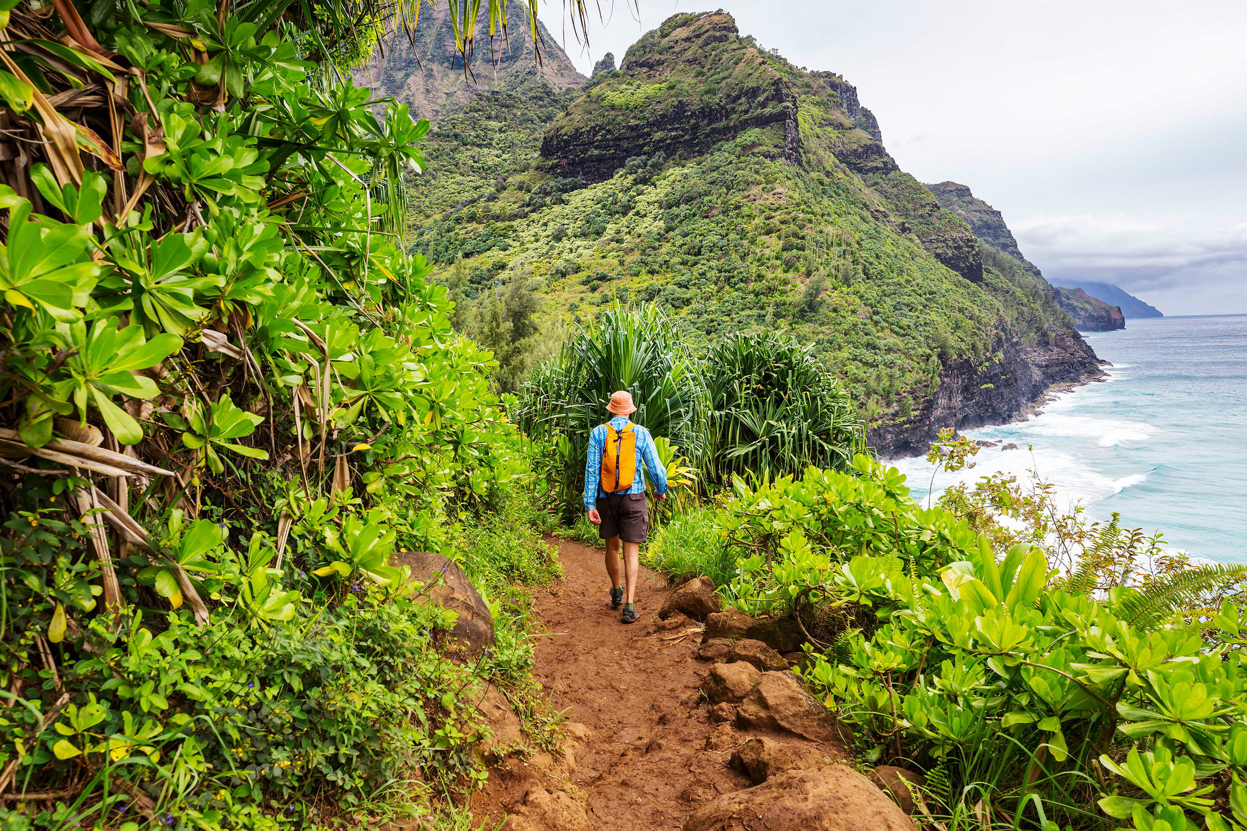 GALYNA ANDRUSHKOSHUTTERSTOCK HAWAIIS TOP 12 PLAN YOUR TRIP Haleakal - photo 7