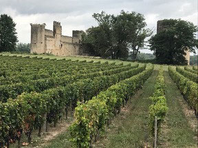 Bordeaux is now in my pantheon of favorite French cycling destinations because - photo 4