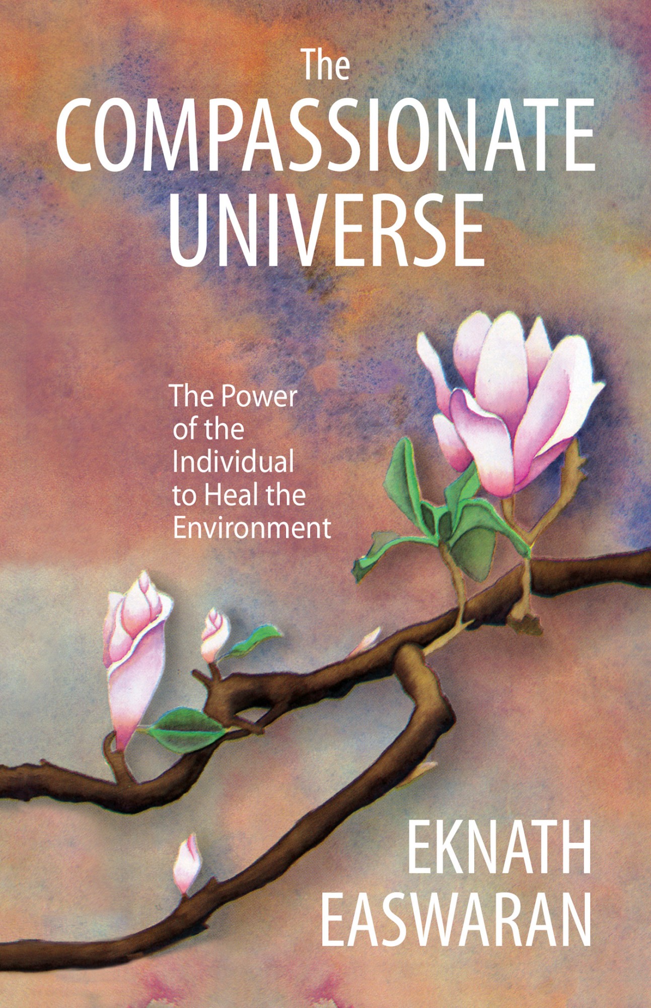 The Compassionate Universe - image 1