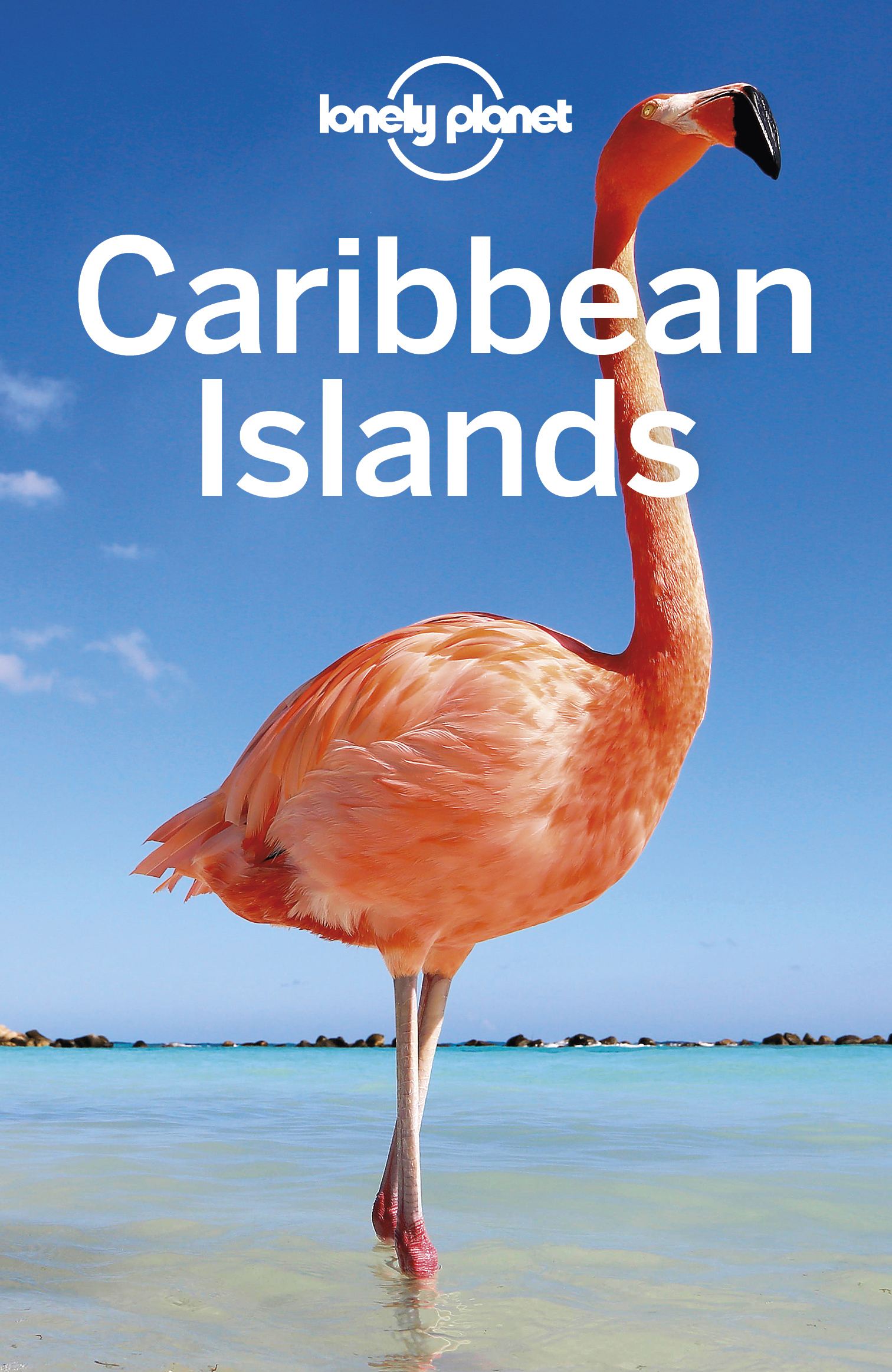 Lonely Planet Caribbean Islands 8 Travel Guide - image 1