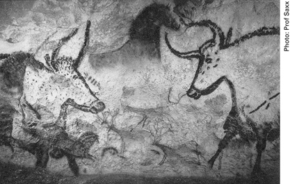 Figure 11 Lascaux south-western France Palaeolithic cave paintings In 1856 - photo 3