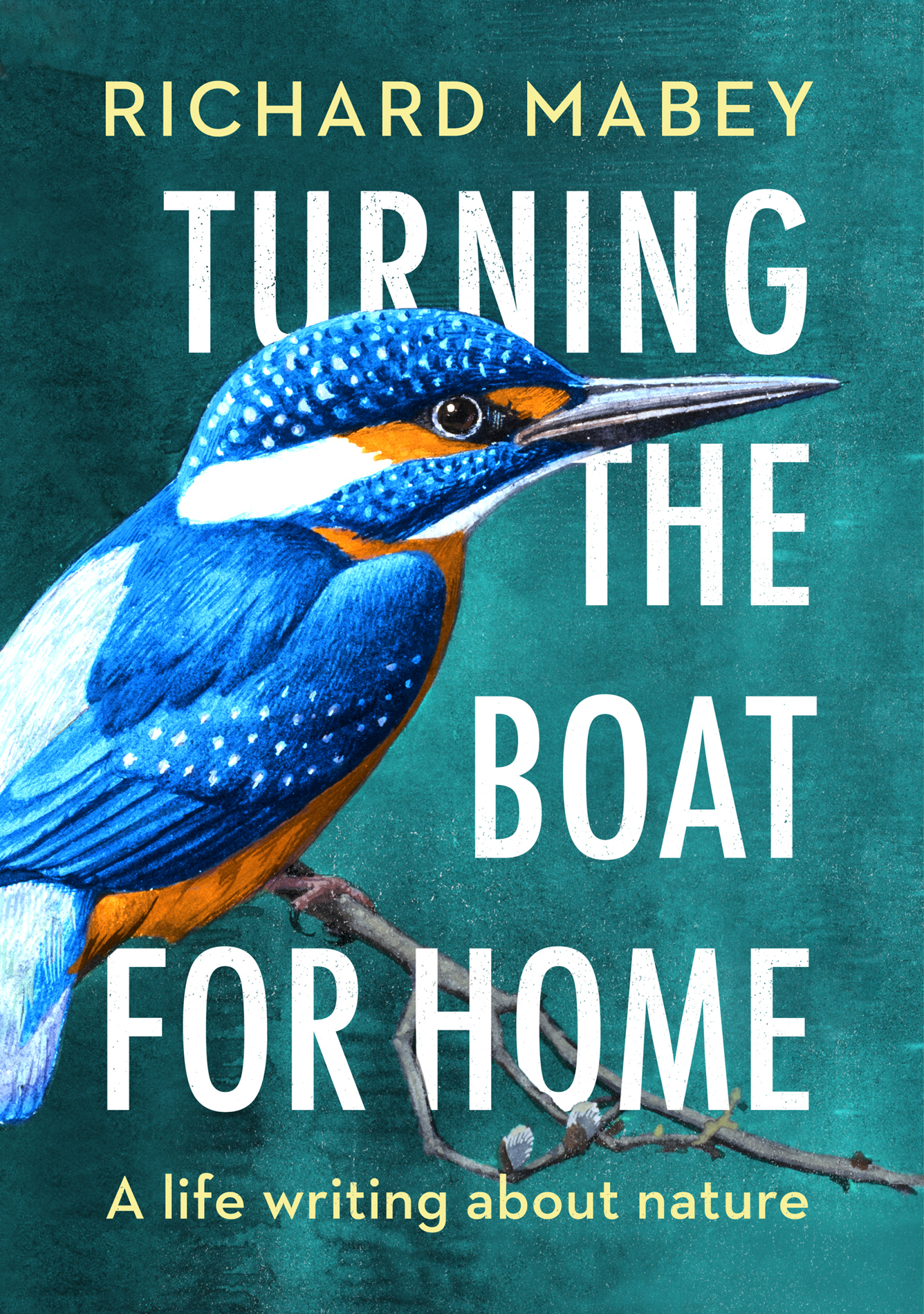 TURNING THE BOAT FOR HOME A life writing about nature Richard Mabey - photo 1