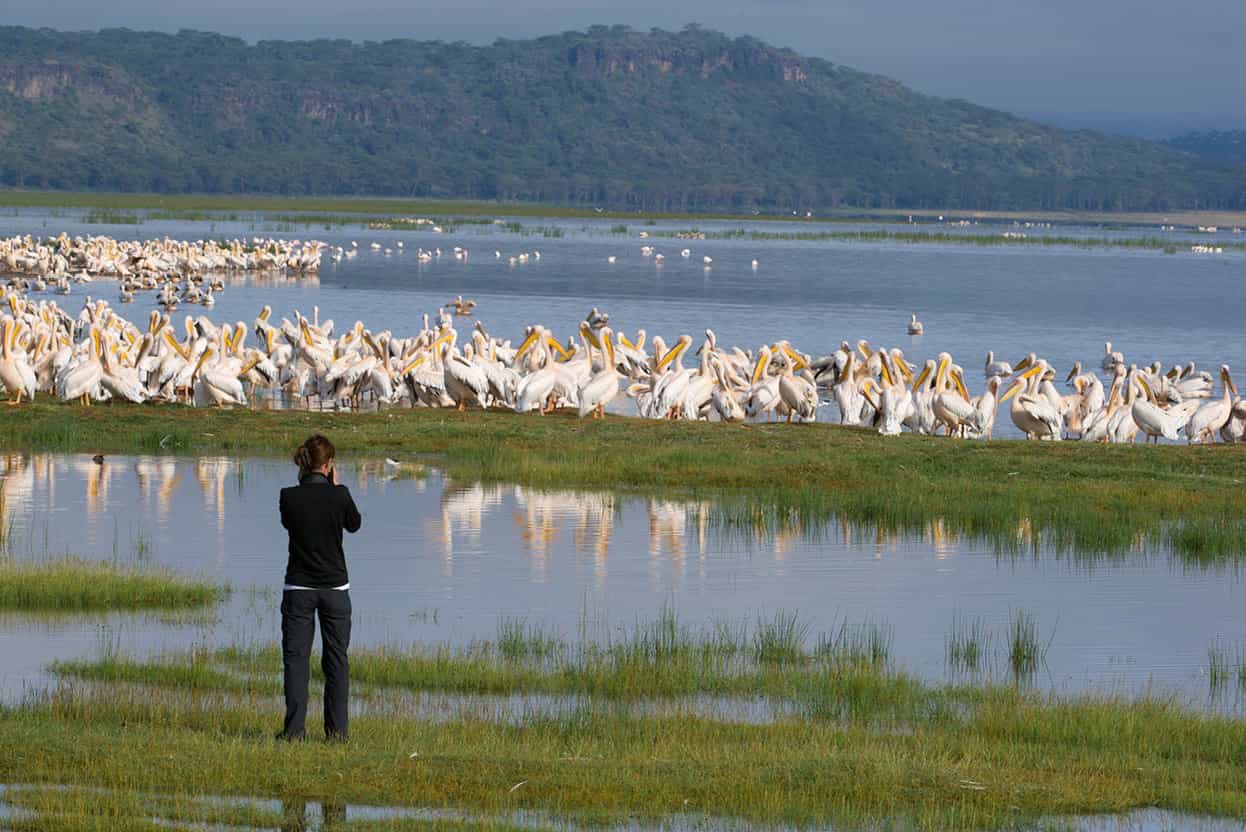 Lake Nakuru National Park Attracting millions of flamingos Lake Nakuru is - photo 7