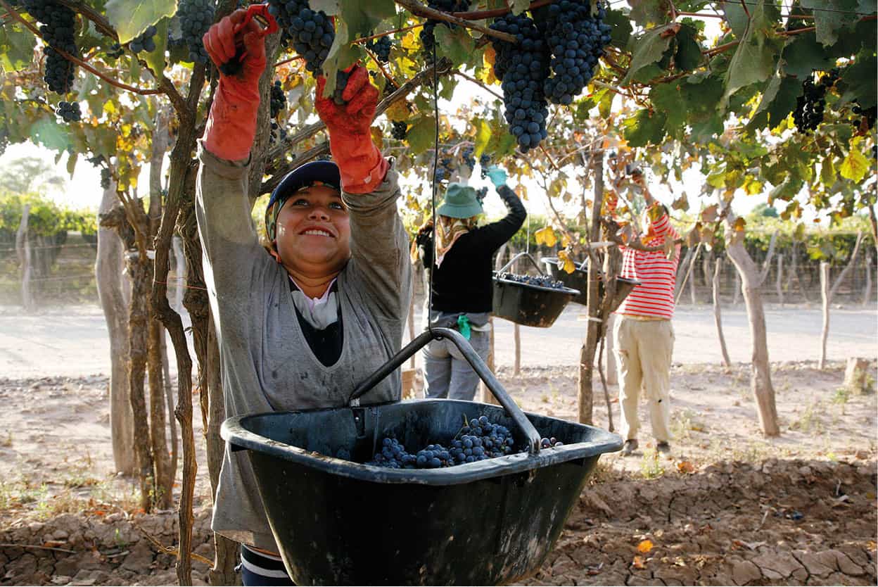 Mendozas wine country Irrigated by melt water from high up in the Andes - photo 9