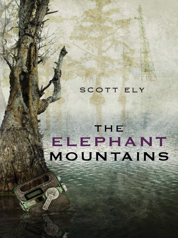 THE ELEPHANT MOUNTAINS SCOTT ELY ORCA BOOK PUBLISHERS Text copyright 2011 - photo 1