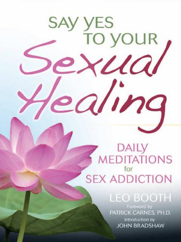 Praise for Say Yes to Your Sexual Healing It is undeniably true that sexual - photo 1