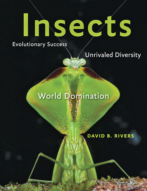 Insects Insects Evolutionary Success Unrivaled Diversity and World - photo 1