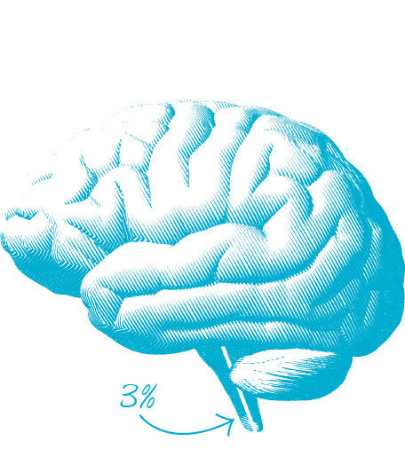 What Is Neuroplasticity Neuroplasticity has taught us that the brain can remap - photo 1