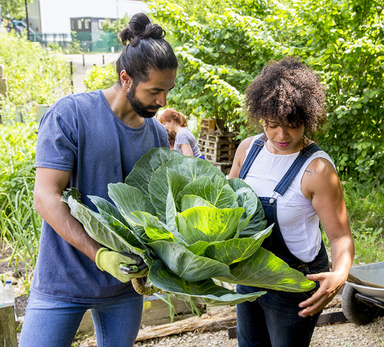 Tap into local gardening groups and online forums for targeted advice LEARN - photo 4