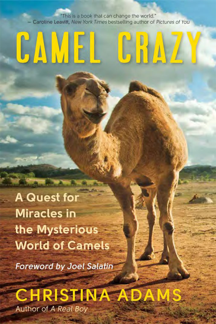 PRAISE FOR CAMEL CRAZY Christina Adams has a powerful passionate and - photo 1