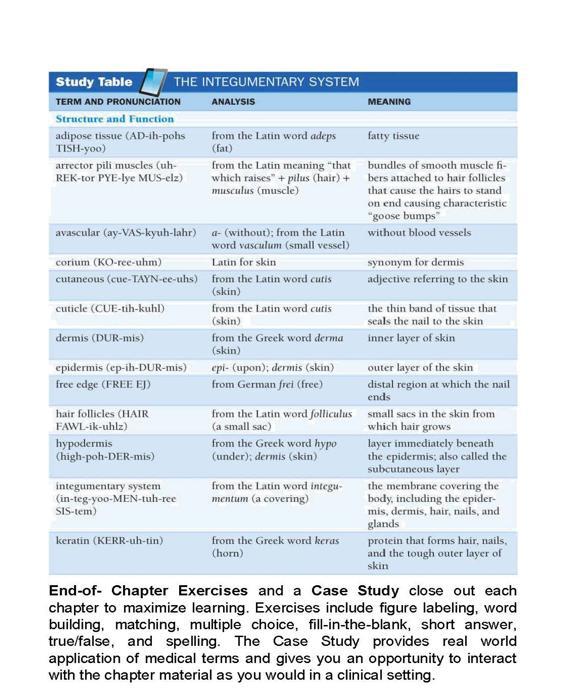 MEDICAL TERMINOLOGY In Short Course - photo 33