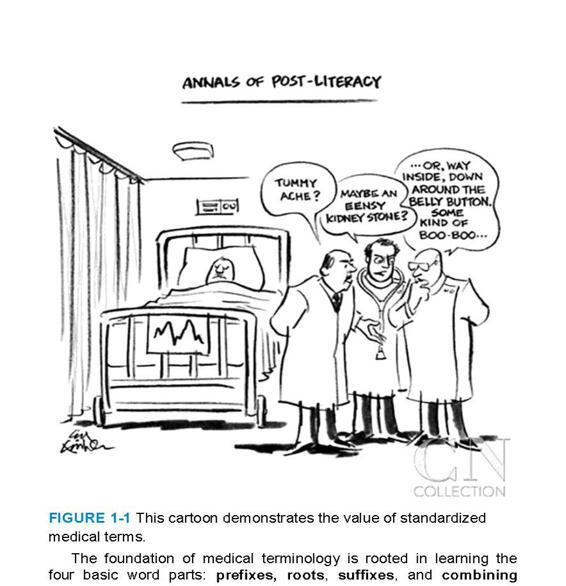 MEDICAL TERMINOLOGY In Short Course - photo 57