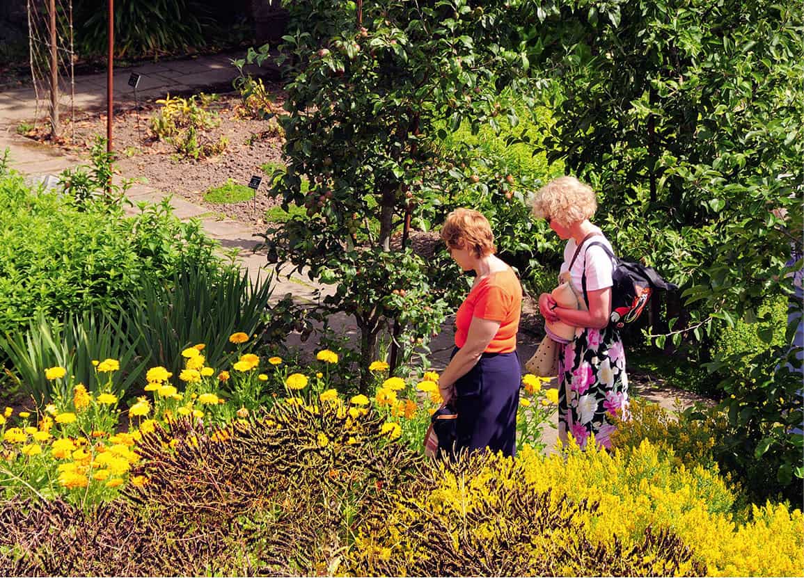 Samars Manor This fine manor is a horticultural haven with acres of landscaped - photo 10