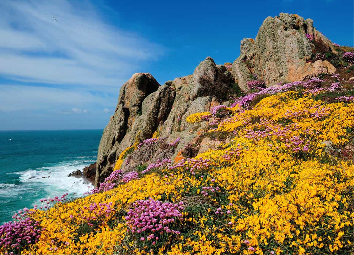 North Coast Footpath Flower-clad cliff paths extend all along the northern - photo 6