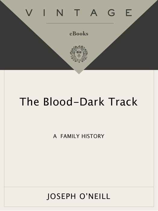 Acclaim for Joseph ONeills Blood-Dark Track An extraordinary book As - photo 1