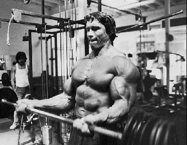 Chronicling the buildup to the 1975 Mr Olympia competition in South Africa - photo 10