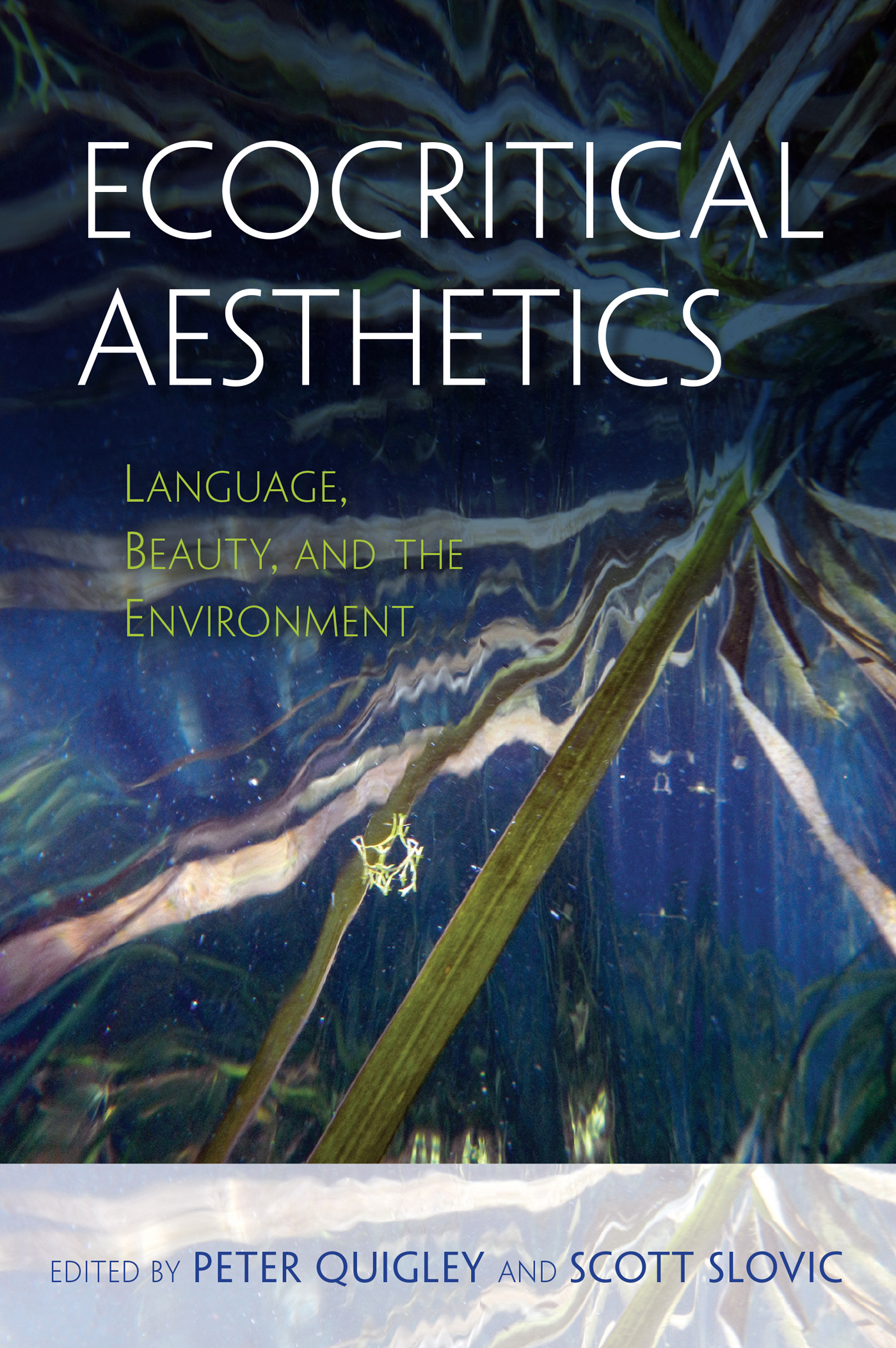 ECOCRITICAL AESTHETICS ECOCRITICAL AESTHETICS LANGUAGE BEAUTY AND THE - photo 1