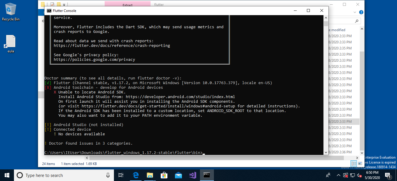 Figure 13 Flutter Doctor Summary in Windows 10 In Flutter Doctor summary we - photo 5