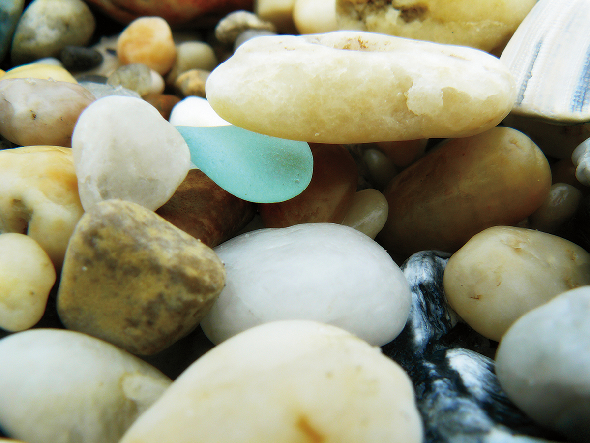 Sea Glass Seeker Revised and Updated - image 8