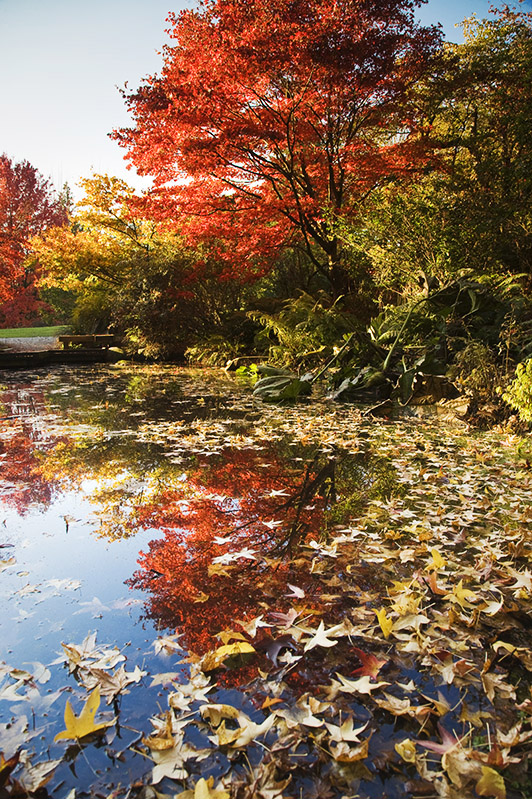 MARK TURNERGETTY IMAGES Portland the Willamette Valley Top Sights - photo 13