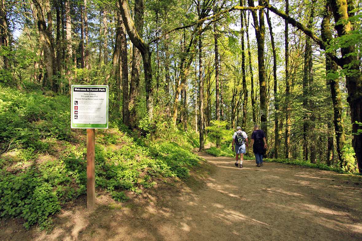 DANITA DELIMONTGETTY IMAGES Portland the Willamette Valley Top Sights - photo 12