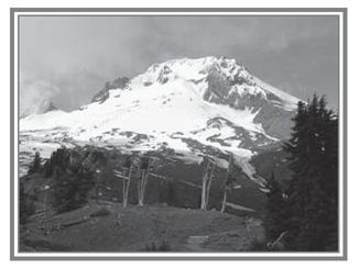 MISTY HERE AT 6000 FEET on the south side of Mount Hood Very misty In fact - photo 5