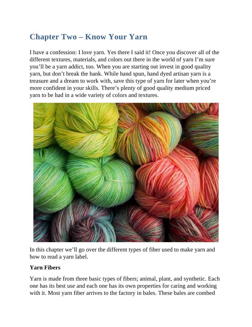 The Definitive Guide To Crocheting From Basic Techniques To Complex Designs - photo 11
