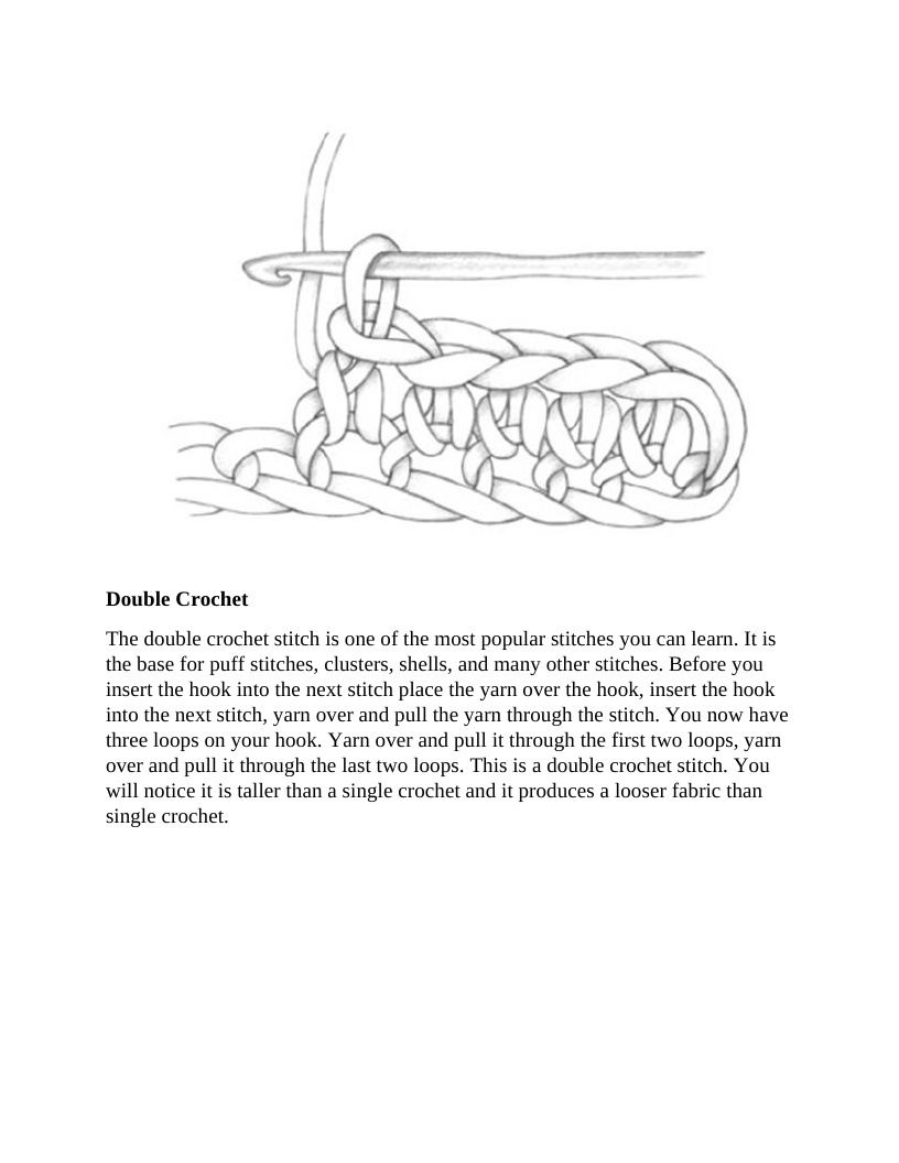 The Definitive Guide To Crocheting From Basic Techniques To Complex Designs - photo 35