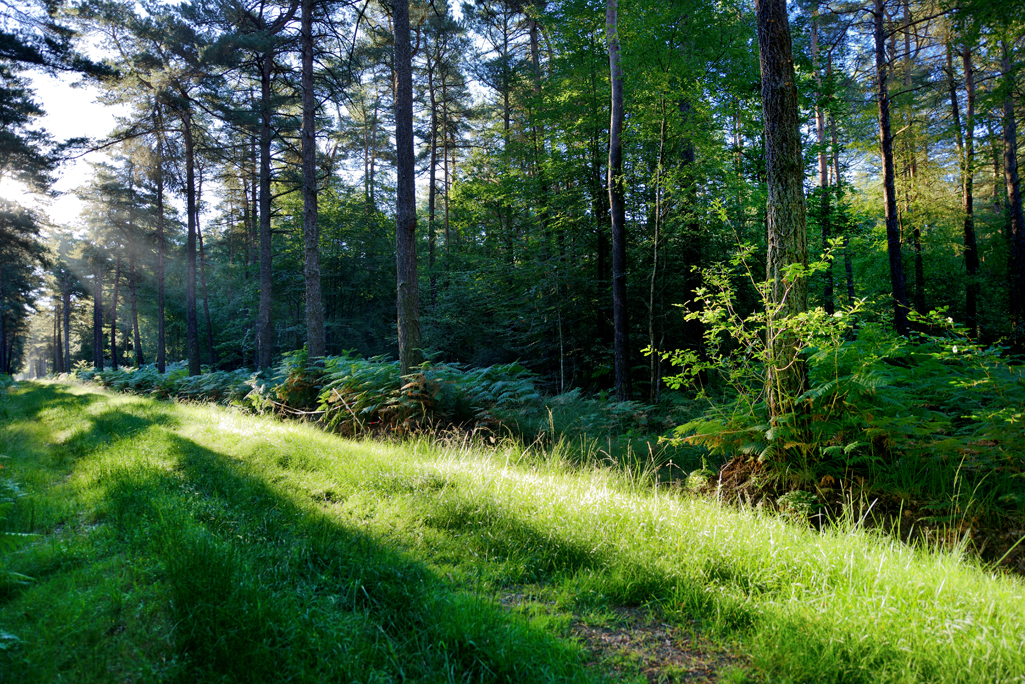 Getty Images Introduction to Brittany Normandy Each quintessentially French - photo 4