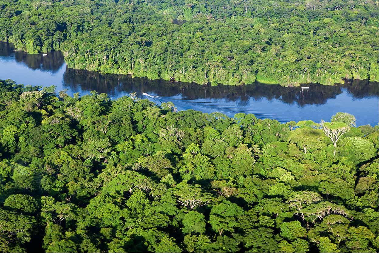 Tortuguero Canals Drifting silently in a canoe along Tortugueros narrow - photo 6