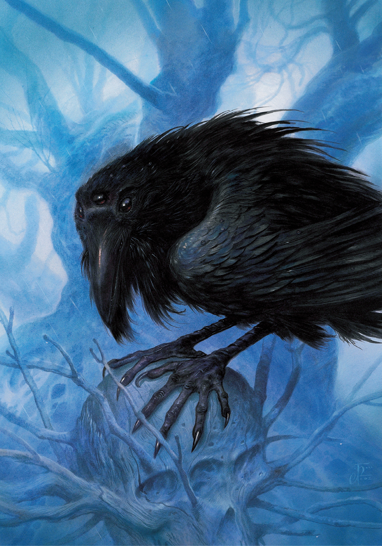 Nightmare Crow This illustration for A Clash of Kings by George RR Martin - photo 4