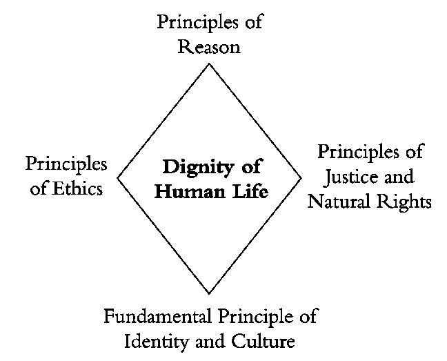 ROBERT J SPITZER SJ PHD TEN UNIVERSAL PRINCIPLES A Brief Philosophy of - photo 1