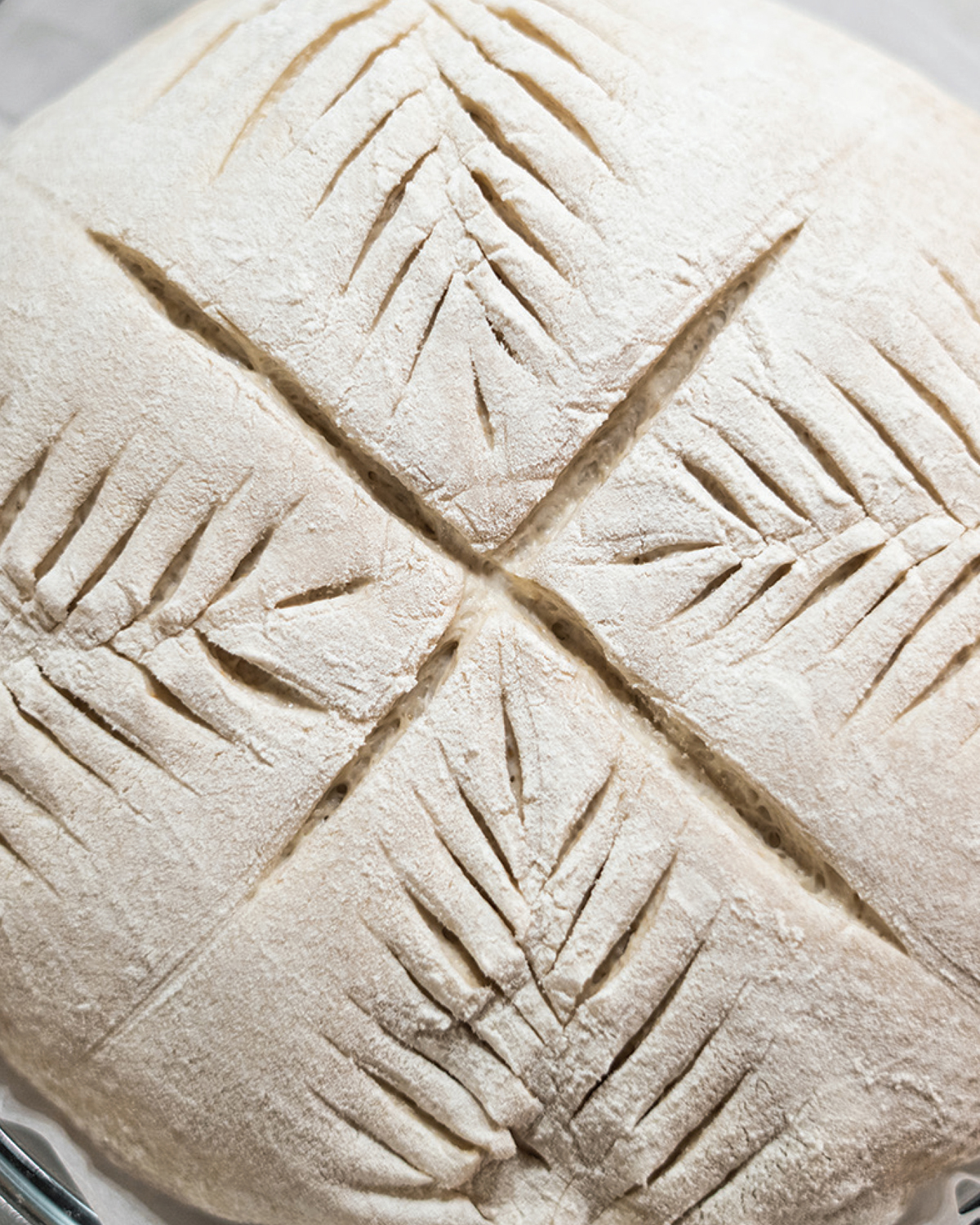 The smell of freshly baked bread is deeply intoxicating Thumping a crusty - photo 4