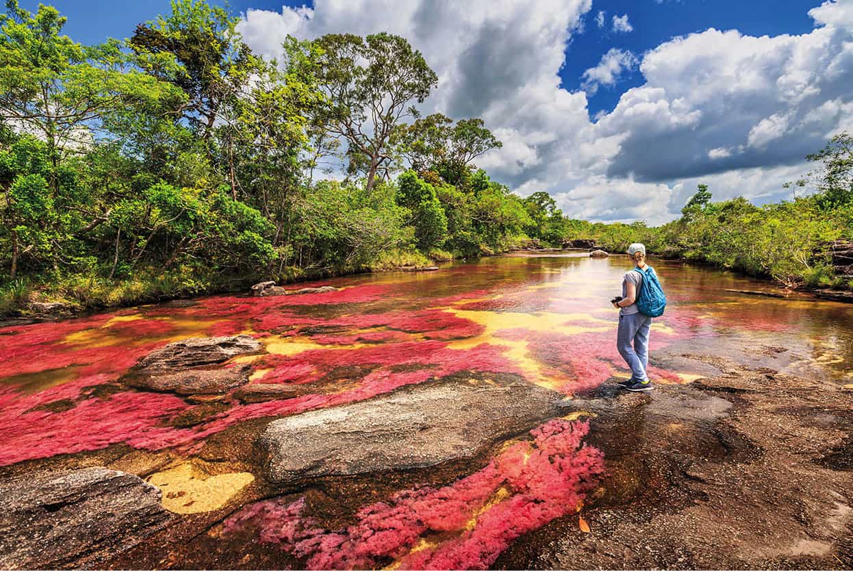 Top Attraction 10 Shutterstock Cao Cristales Declared off limits in 1989 Cao - photo 13