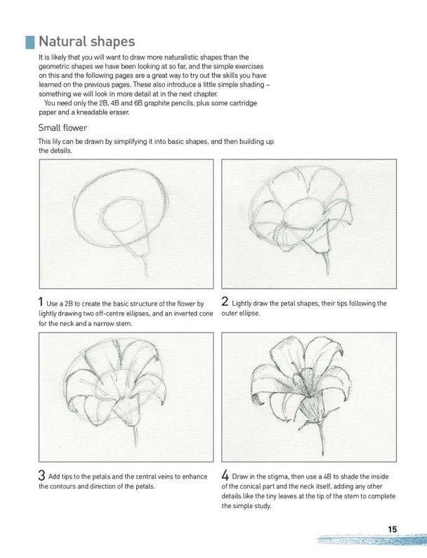 Drawing for the Absoute Beginner Absolute Beginner Art - photo 17