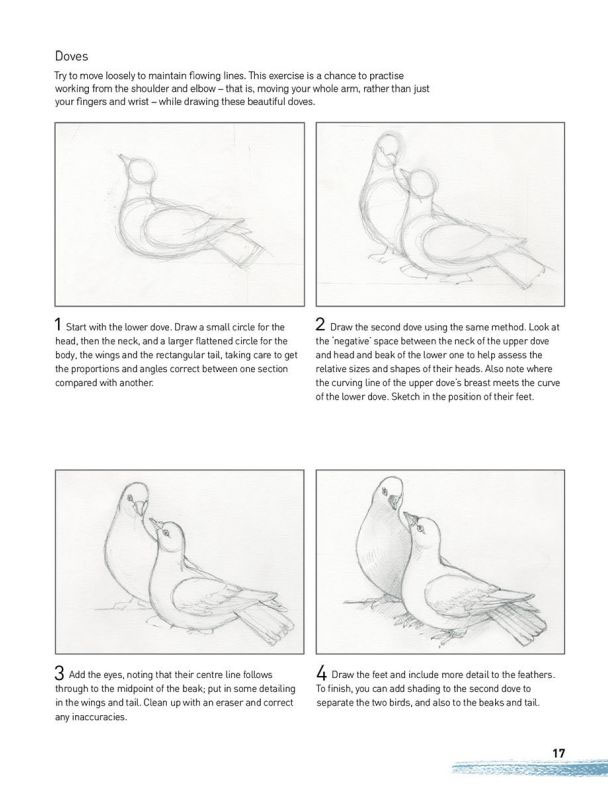 Drawing for the Absoute Beginner Absolute Beginner Art - photo 19