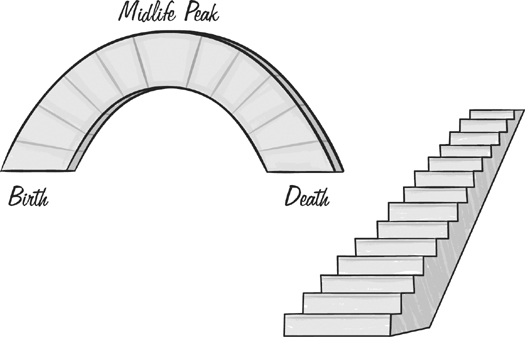 One diagram the arch represents a biological concept taking us from - photo 4