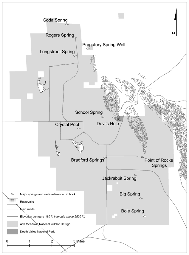 FIGURE 02 Devils Hole and Ash Meadows area Map by author with public-domain - photo 3