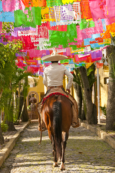 Getty Images COWBOY IN GUADALAJARA Contents Getty Images Introduction to - photo 3