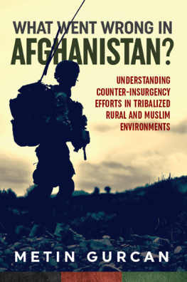 Metin Gürcan - What Went Wrong in Afghanistan? Understanding Counter-insurgency Efforts in Tribalized Rural and Muslim Environments (Wolverhampton Military Studies)