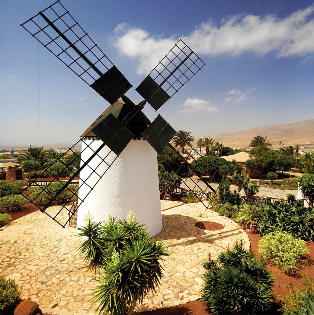 Top Attraction 2 Neil Buchan-GrantApa Publications Fuerteventuras windmills A - photo 5